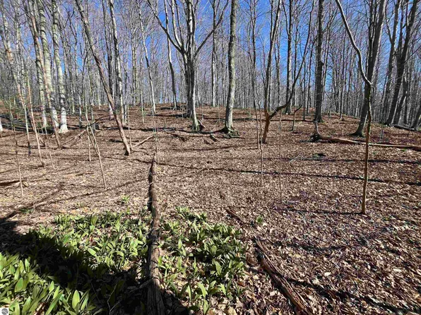 PARCEL Lobb Rd #D, Frankfort, MI 49635