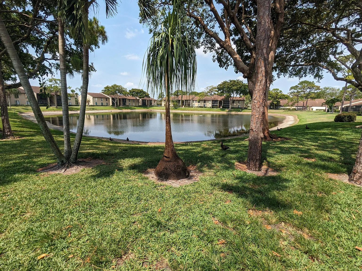 3 bed, 2.0 bath, 1254 sqft, $2,350 — Photo 3