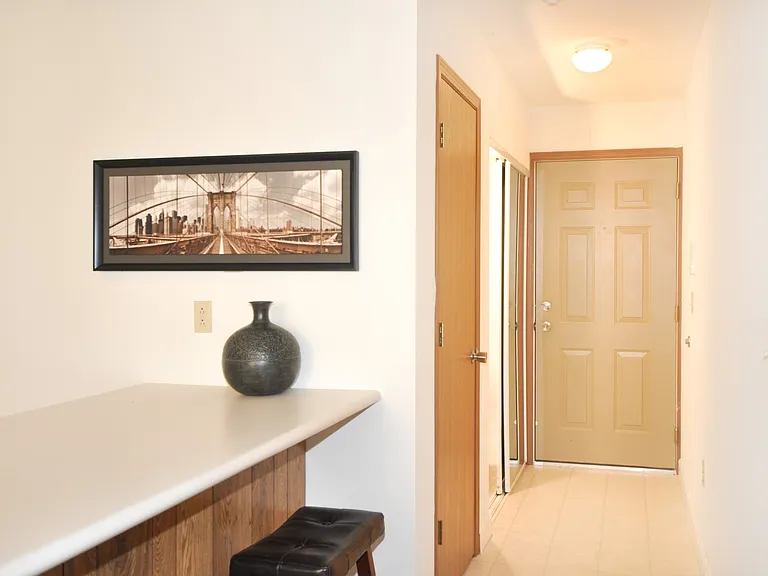 1005 W Stoughton St #312 — Photo 4