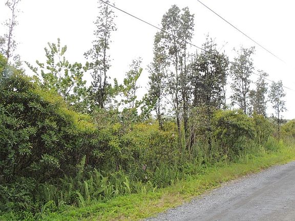 2nd image of 11th Avenue Kika Lot 1450