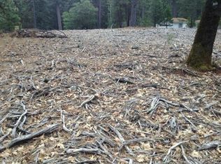 17921 Ruggles Ct, Pioneer, CA 95666