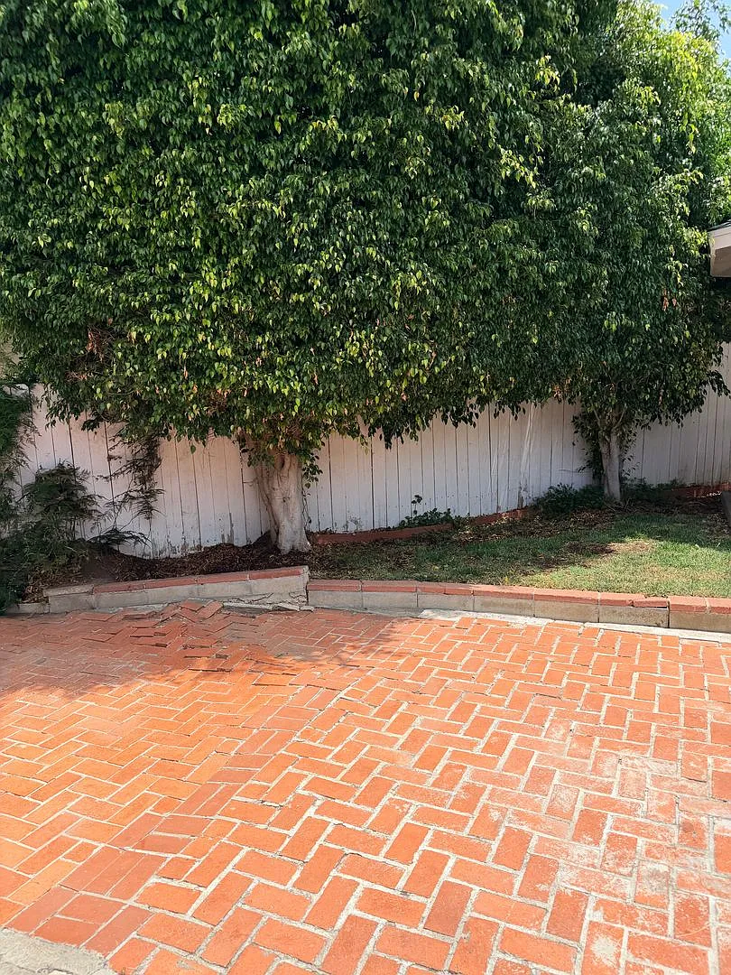4 Bedroom + Office or Optional 5th Bedroom Home in Chula Vista — Photo 4