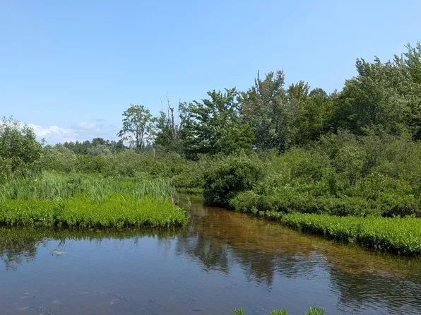 LOT 40 S River Run Dr Lot 40, Trout Lake, MI 49793