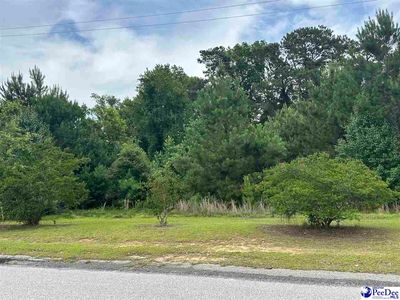 LOT Atkinson St #B, Turbeville, SC, 29162
