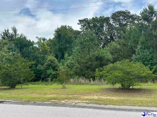 LOT Atkinson St #B, Turbeville, SC 29162