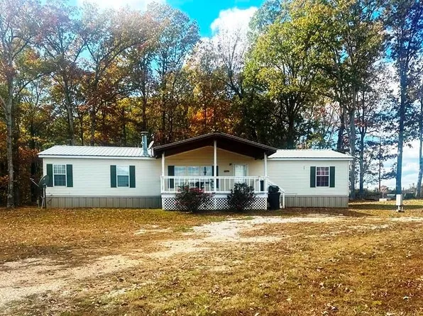 465 Ripley #160E-20, Fairdealing, MO 63939