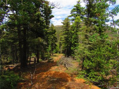 Lot 6028 Bruce Roads, San Luis, CO, 81152