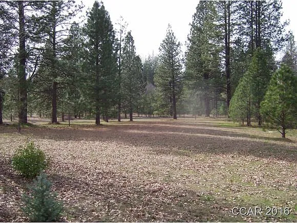 23664 Rock Hammer Rd photo 1