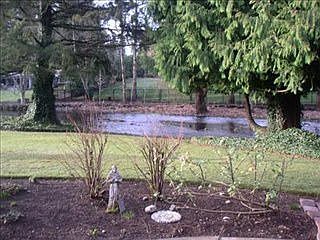 4th image of 11312 Clover Park Dr SW