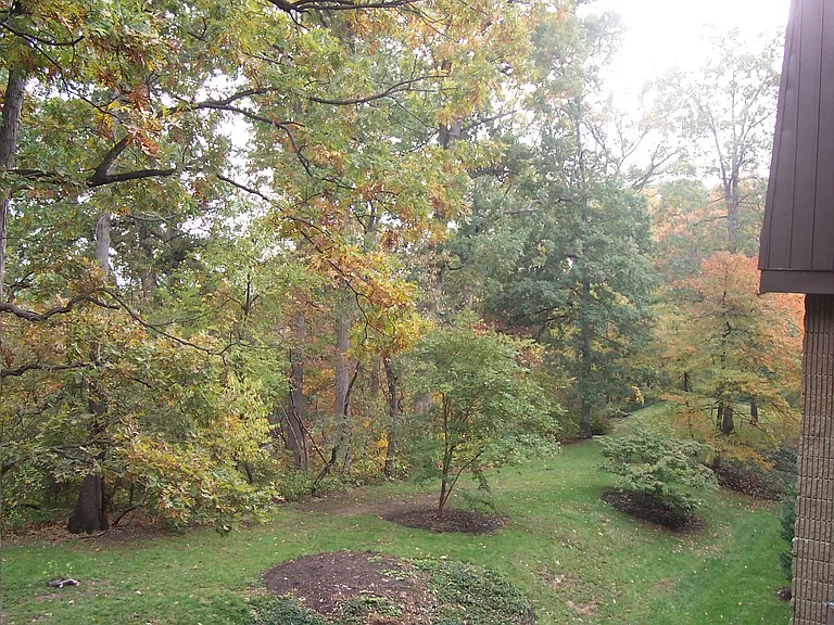 5120 Maris Ave #301 — Photo 6