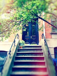 Rented by Francine Realty