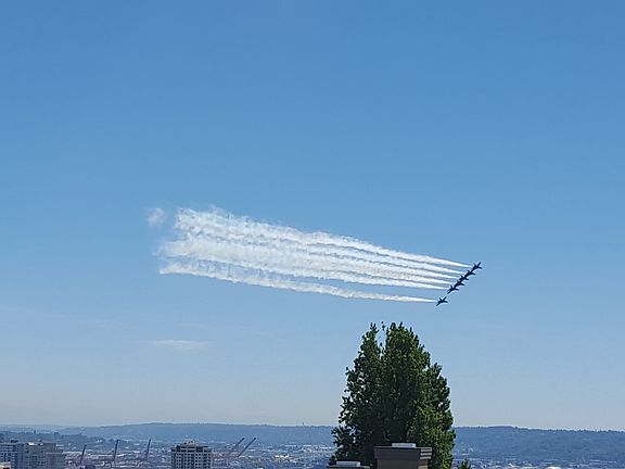 LivingRm View 2015BlueAngels