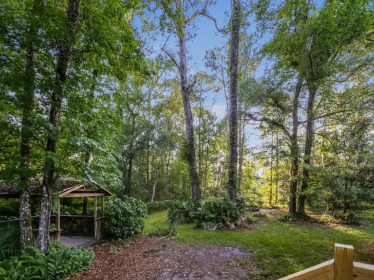 4782 Cinnamon Fern Dr — Photo 16