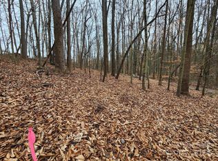 Grassy View Rd, Candler, NC 28715