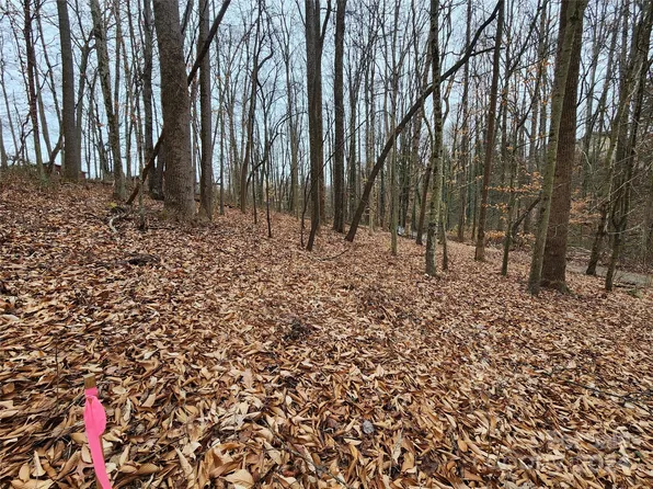 Grassy View Rd, Candler, NC 28715