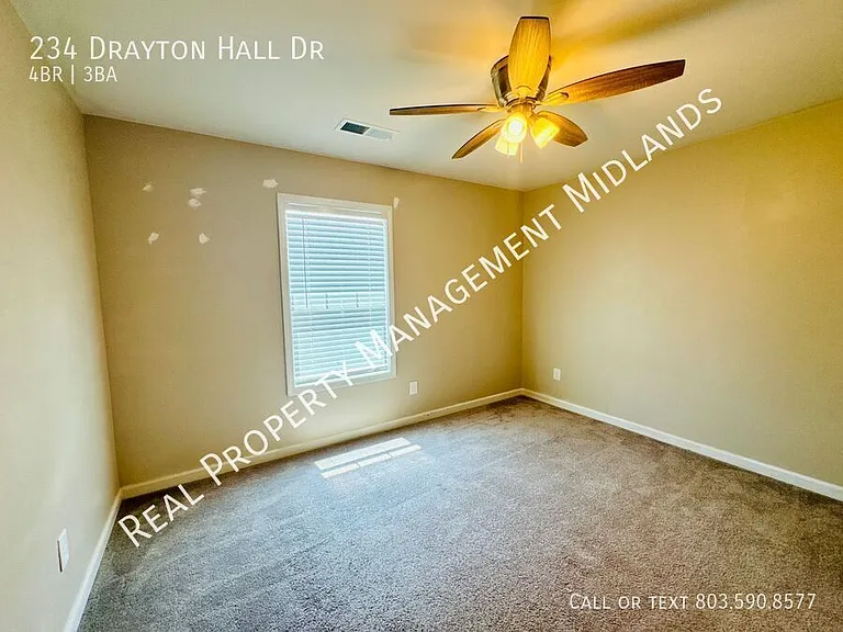 234 Drayton Hall Dr — Photo 7