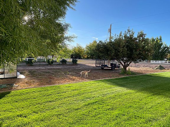 Garden area
