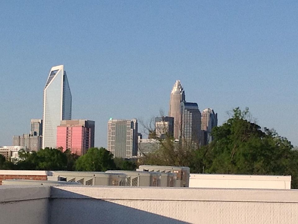 Skyline View from Roof
