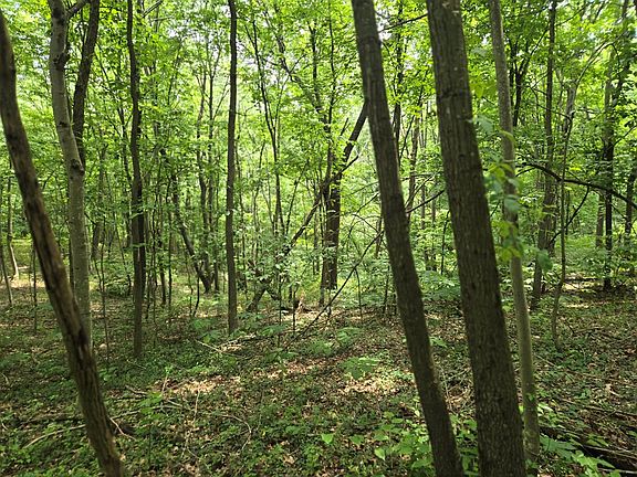 2nd image of 0 Dutch Ridge Rd