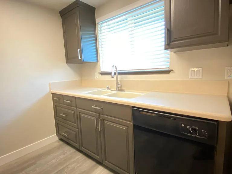 Dishwasher and kitchen sink with retractable hose.