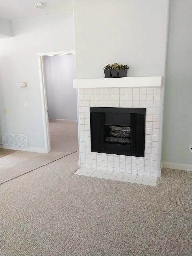 1 bed, 594 sqft, $2,900 — Photo 3