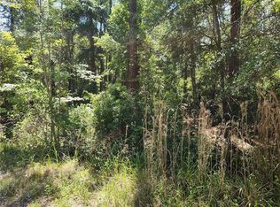 0 NE 66th Ave LOT 53, Citra, FL 32113