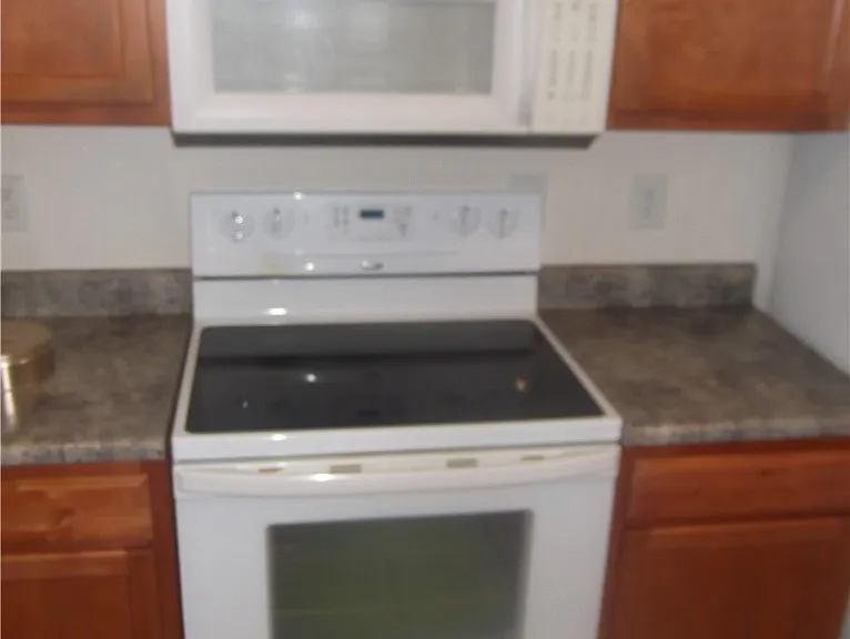 1250 Mingary Ave — Photo 5