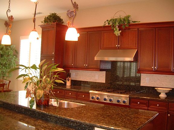 Stainless appliances, granite counters, butlers pantry & walk-in pantry