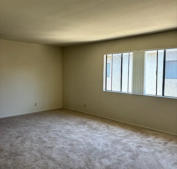 434 E Elmwood Ave #209 — Photo 18