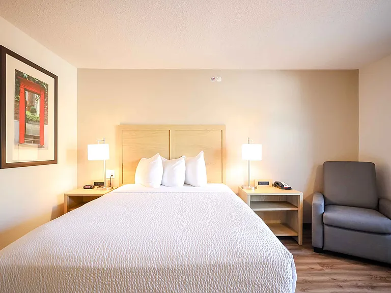 Studio Suite - 1 Queen Bed