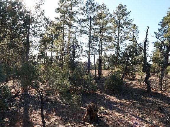 4th image of 4101 W Flax Ln