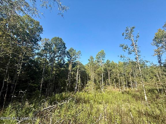 4th image of Cauthen Rd