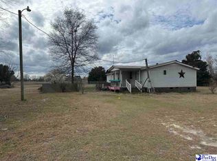 3536 Gully Branch Rd, Lamar, SC 29069