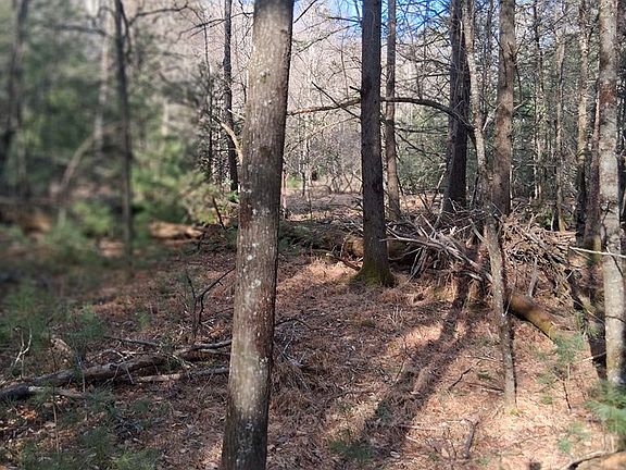 5th image of Gullion Fork Rd
