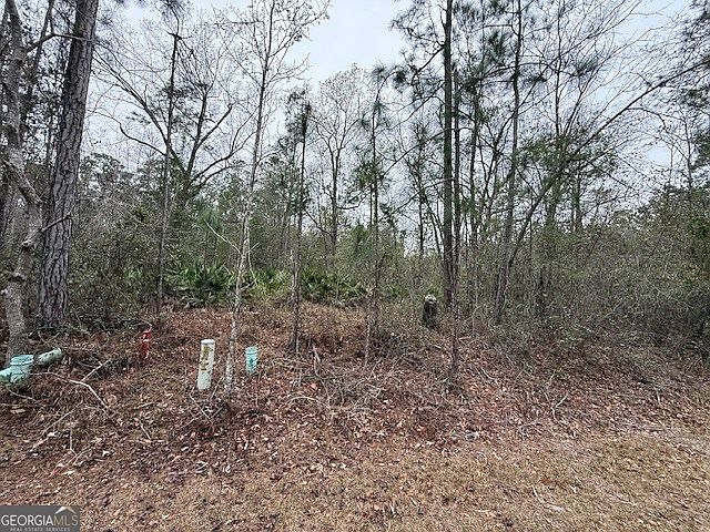 1st image of V/l 104 Satilla River Lndg