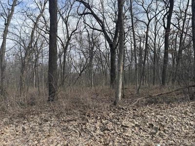 2+/- Acres Biggs Road, Argyle, WI, 53504