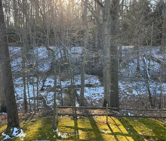 48 Ellsworth Ct — Photo 8