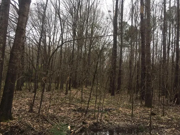 Kings Arms Rd Lot 43, Starkville, MS 39759