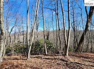 Tbd Chinquapin Springs, Newland, NC 28657