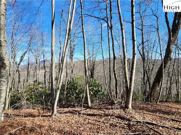 Tbd Chinquapin Springs, Newland, NC 28657