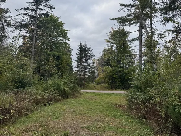3 Pine Shore Ln Lot 4, Tomahawk, WI 54487