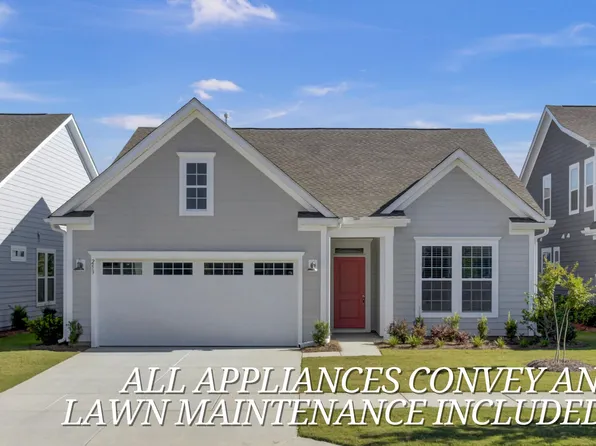 253 River Martin Ct, Summerville, SC 29483