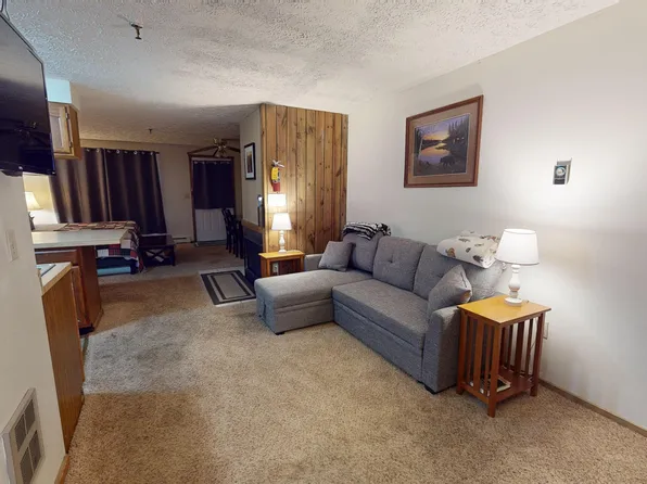 55 Ridgewood St, Snowshoe, WV 26209
