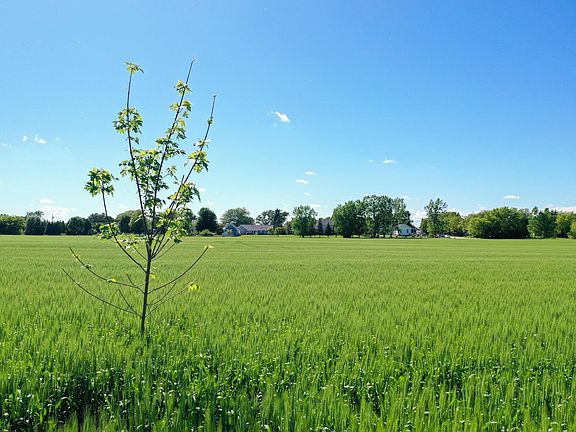 3rd image of Bay Settlement Rd