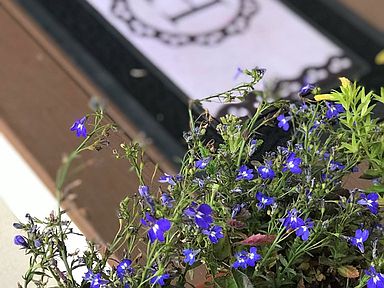 380 Quail Ridge Ct, Milledgeville, GA 31061 | Zillow