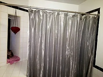 Rented by Crosstown Apartments NYC