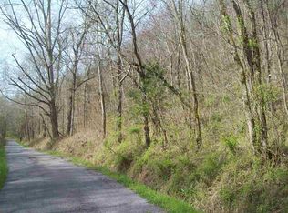 365 Mason Lodge Rd, Mohawk, TN 37810