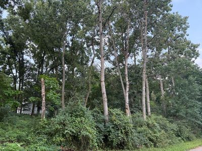 Lt16 SKANSEN #17,18,19, Delavan, WI, 53115