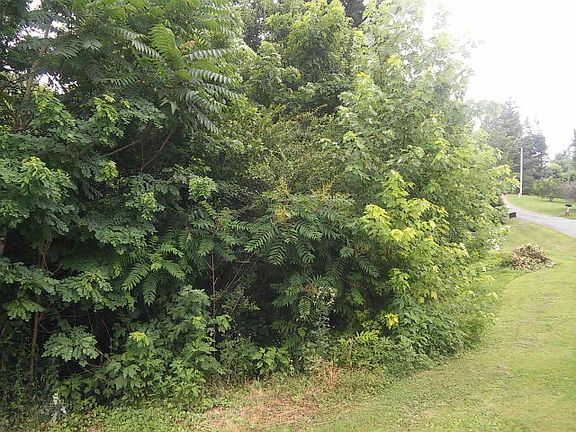 2nd image of 00 Bowman Lane
