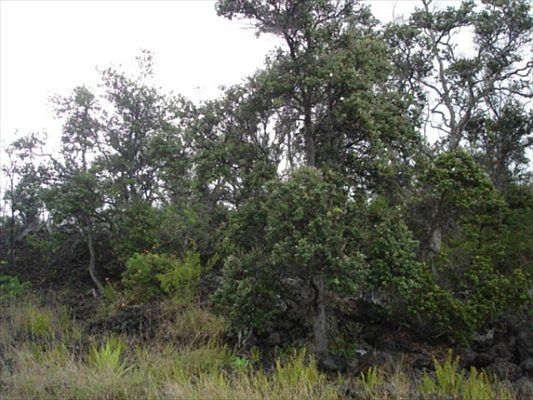 2nd image of Sea Breeze Pkwy Lot 32